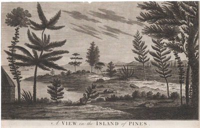 A View in the Island of Pines